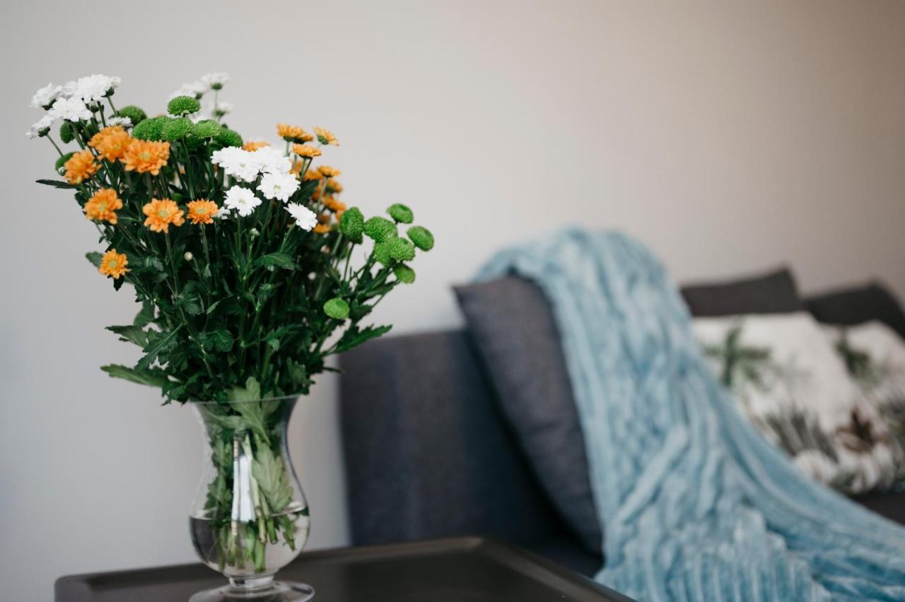 Nocosfera Apartament Serbinow Kaliszki Εξωτερικό φωτογραφία